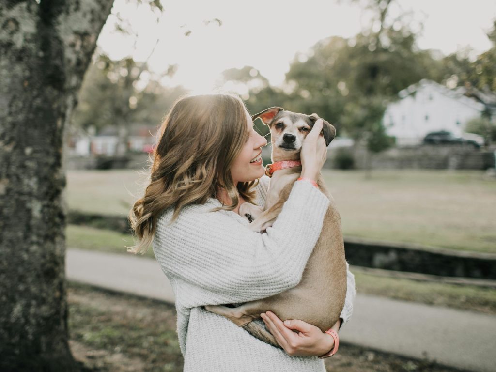 Köpek Sahibi Olmanın Sorumlulukları Bilmeniz Gerekenler